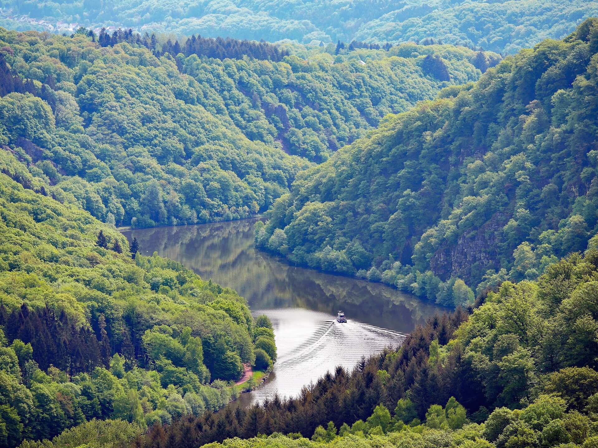 Naturpark Saar-Hunsrück mit Hund