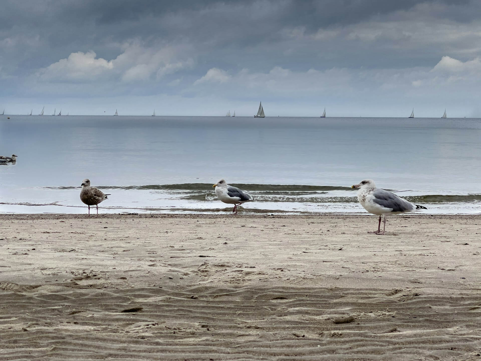 Timmendorfer Strand mit Hund