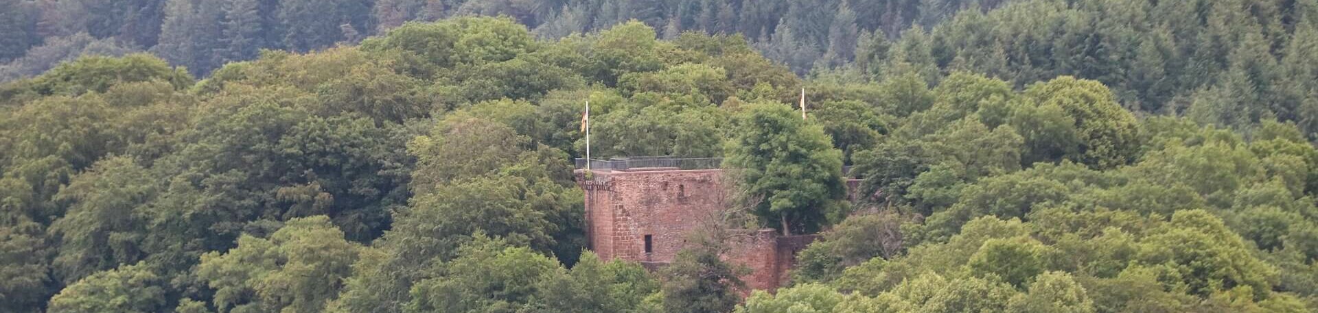 Burg Monclair mit Hund
