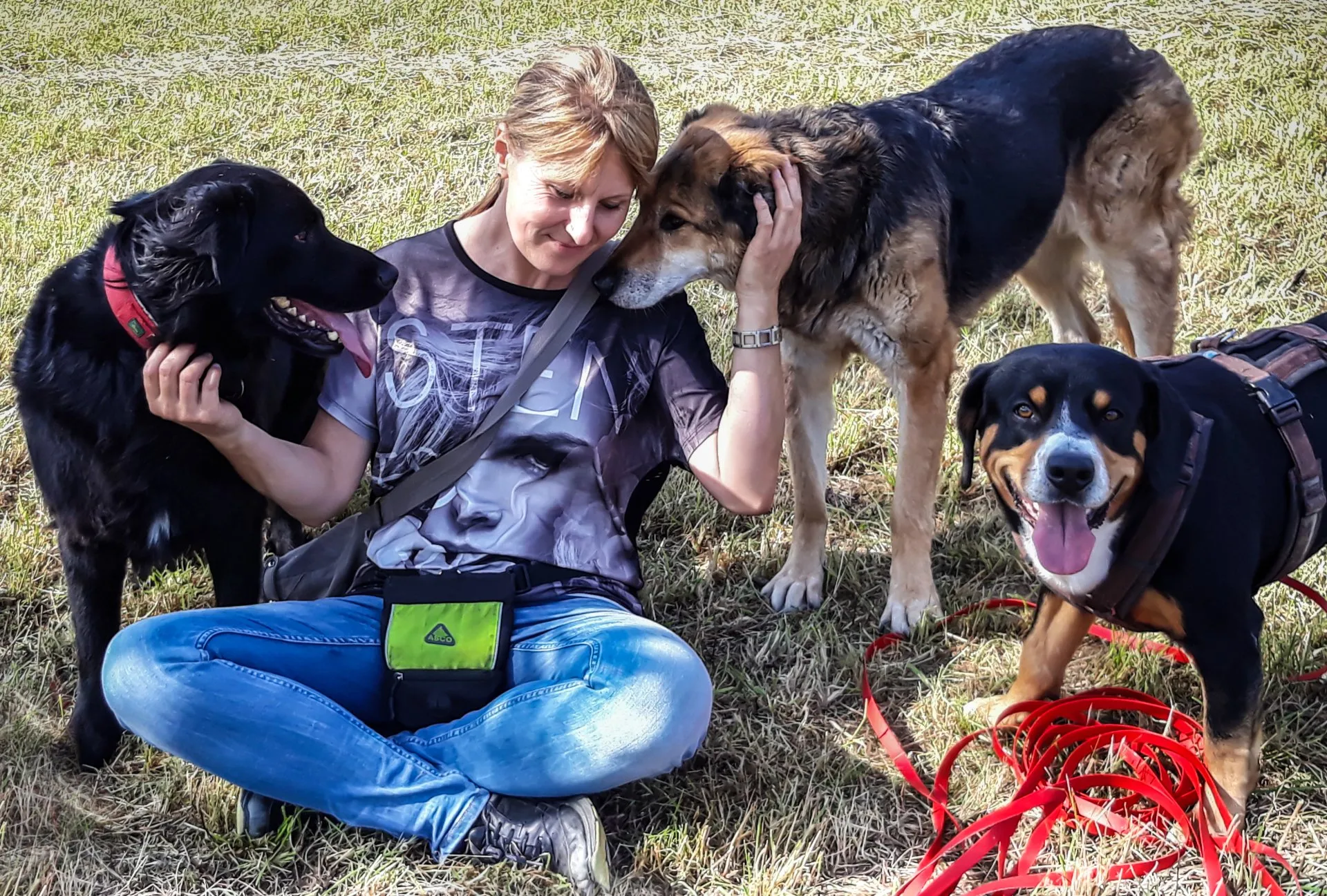 Lucky Hundeschule