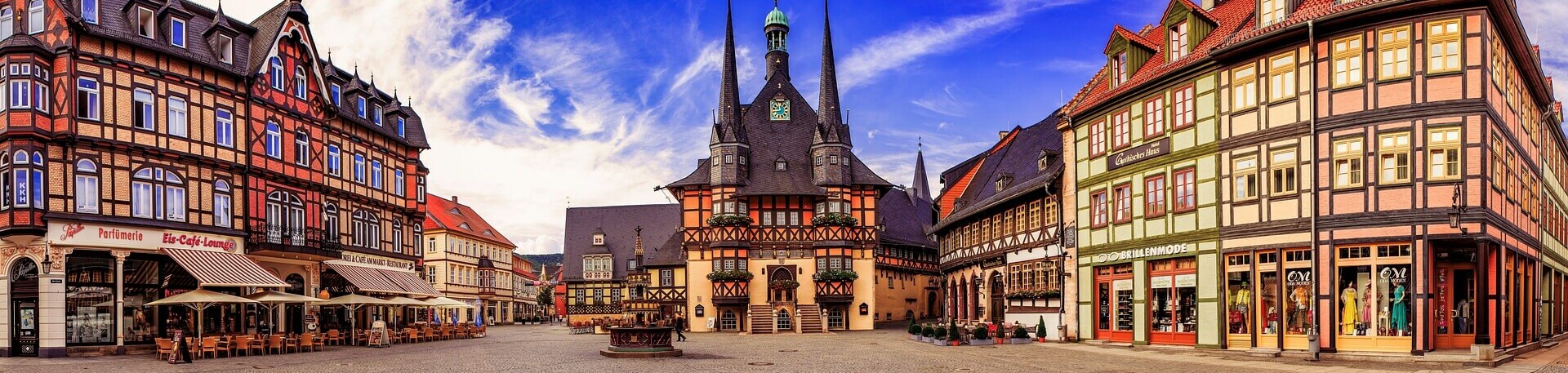 Wernigerode mit Hund