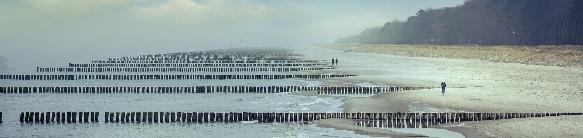 Hunde Urlaub auf Fischland-Darß-Zingst