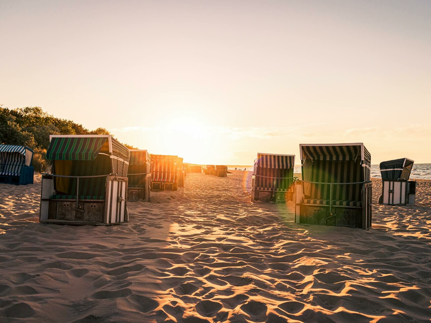 Usedom mit Hund