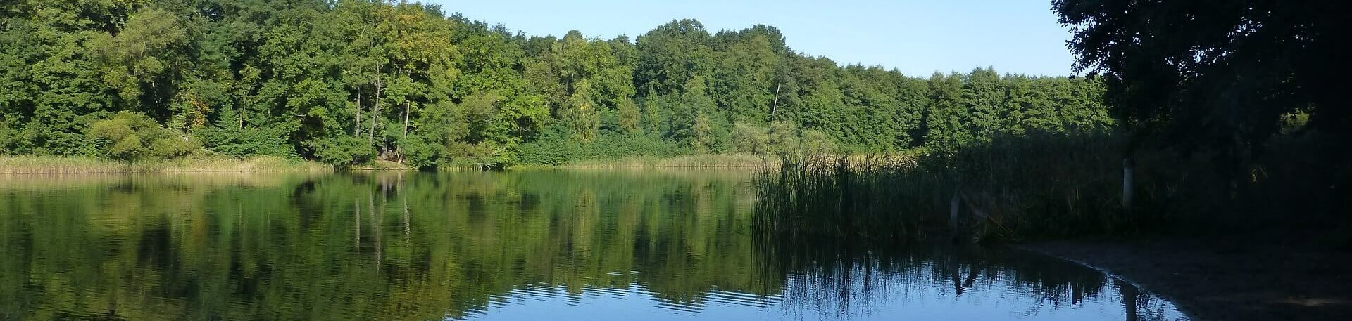 Hundestrand am Grunewaldsee