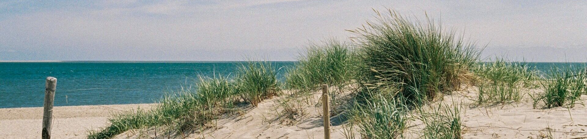 Hundestrand am Strand von Paal 28